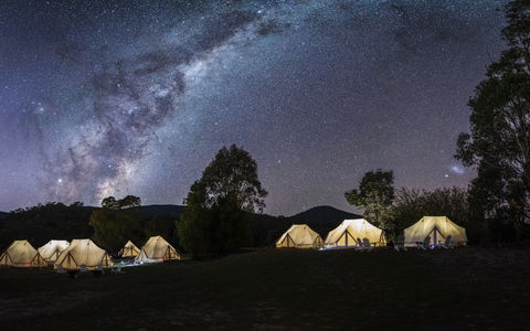 A Wild Night Out - Spring - Maitland Accommodation 6