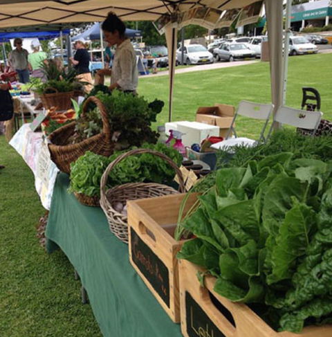 Bermagui Growers Market - Maitland Accommodation 5