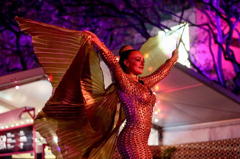 Brisbane Festival - Maitland Accommodation 0