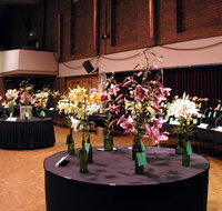 Burnie Lilium Show