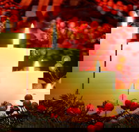 Carols by Candlelight Boorowa - Maitland Accommodation