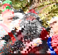 Christmas on the Plains - Quirindi - Maitland Accommodation