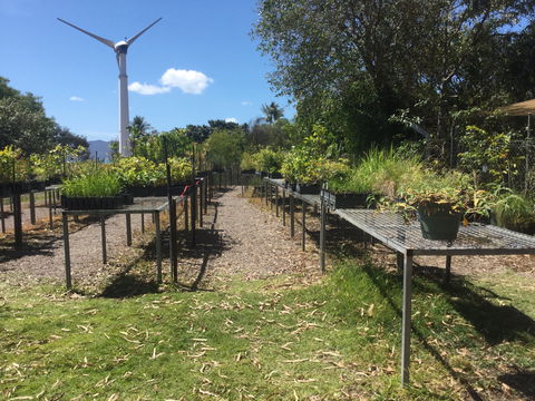 Conservation Volunteers Australia Townsville - Ocean View Nursery - Maitland Accommodation 0
