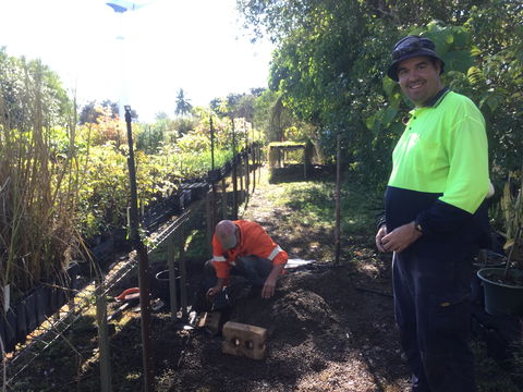 Conservation Volunteers Australia Townsville - Ocean View Nursery - Maitland Accommodation 1