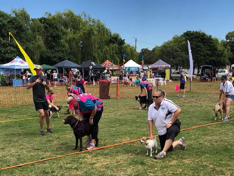 Dogs In The Park Shell Harbour - Maitland Accommodation 1