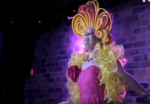 Dragalicious At The Avenue - Maitland Accommodation 0