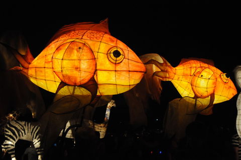 DREAM Festival: Music And Markets Event - Maitland Accommodation 2