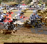 Dust Hustle Queensland Moto Park - Maitland Accommodation