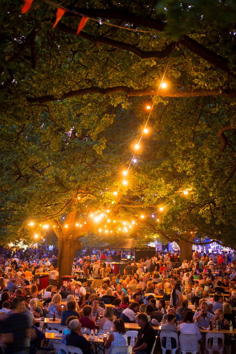 Festivale - Maitland Accommodation 0