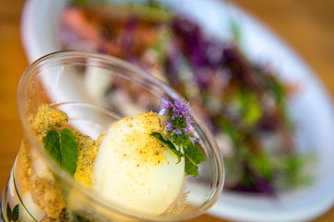 Festivale - Maitland Accommodation 2