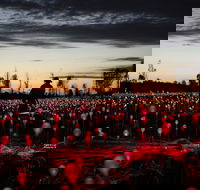 Field of Light Uluru - Maitland Accommodation