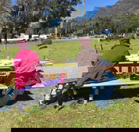 Grampians Brushes - Maitland Accommodation