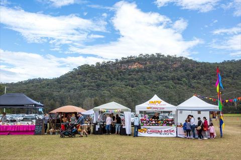 Horses Birthday Festival - Maitland Accommodation 2