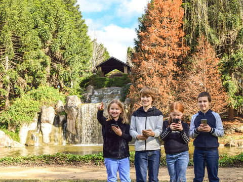 Hunter Valley Gardens Virtual Treasure Trail - Maitland Accommodation 1