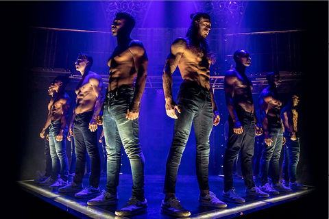 MAGIC MIKE LIVE - Maitland Accommodation 0