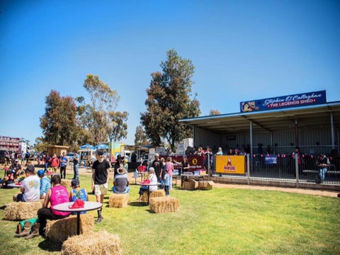 Mathoura Speed Shear And Annual Cancer Fundraiser - Maitland Accommodation 0
