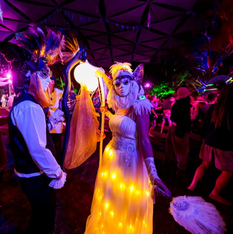 Mushroom Valley Festival - Maitland Accommodation 1