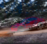 Narooma Forest Rally - Maitland Accommodation