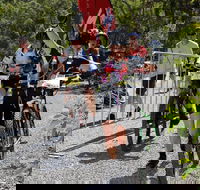 Paluma Push 2020 - Maitland Accommodation