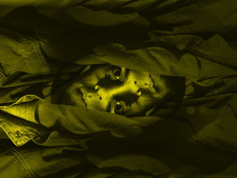 Plastic Bag - Maitland Accommodation 0