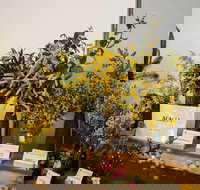 Pomonal Native Flower Show - Maitland Accommodation