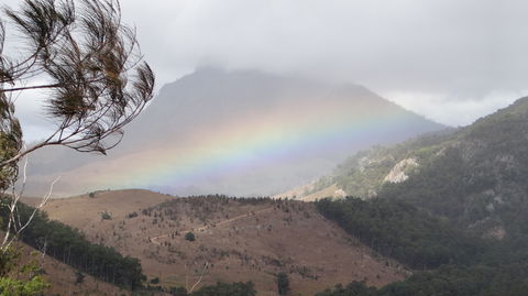 Scenic Rim Trail Running Series Round 4 - Maitland Accommodation 0