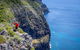 Seven Peaks Walk At Pinetrees Lord Howe Island - thumb 0