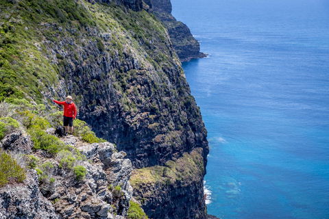 Seven Peaks Walk At Pinetrees Lord Howe Island - Maitland Accommodation 0