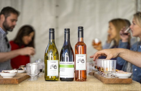 Southern Highlands Food And Wine Festival - Maitland Accommodation 2