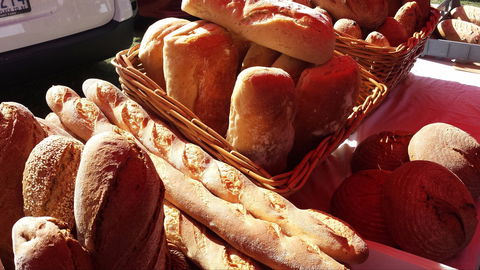 South Geelong Farmers Market - Maitland Accommodation 2