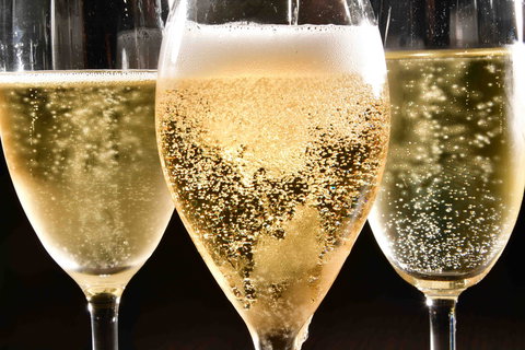 Sparkling Sydney - Maitland Accommodation 2