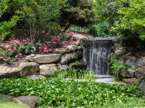 Spring Time At Hunter Valley Gardens - Maitland Accommodation 1