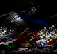 Summer  Family Nature Camp - Maitland Accommodation