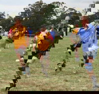 Veterans Touch Footy Carnival