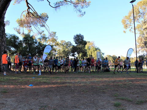 Wagga Parkrun - Maitland Accommodation 2