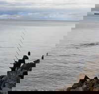 Whale Watching in Portland - Maitland Accommodation