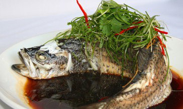 Thai Nesia Restaurant - Maitland Accommodation 4