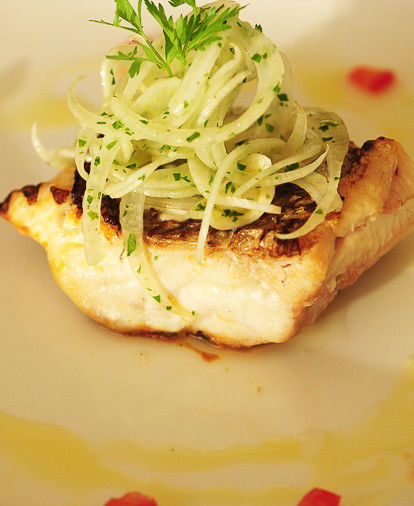 Potts Point NSW Maitland Accommodation