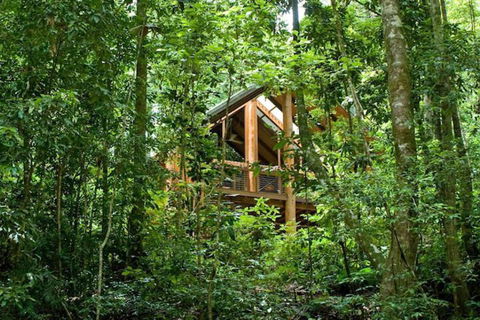 The Canopy Rainforest Treehouses And Wildlife Sanctuary - Maitland Accommodation 1