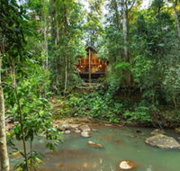 The Canopy Rainforest Treehouses and Wildlife Sanctuary - Maitland Accommodation