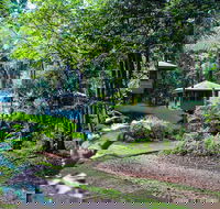 Ferntree Rainforest Lodge - Maitland Accommodation