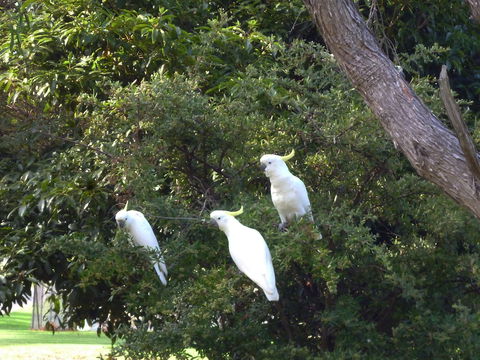 Coachman's Eden - Maitland Accommodation 5