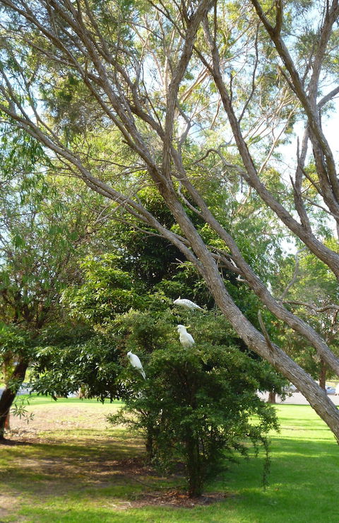 Coachman's Eden - Maitland Accommodation 4