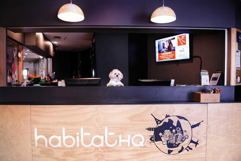 Habitat HQ - Hostel - Maitland Accommodation 3