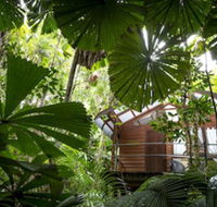 Daintree Wilderness Lodge - Maitland Accommodation