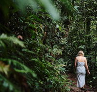 Daintree Ecolodge - Maitland Accommodation