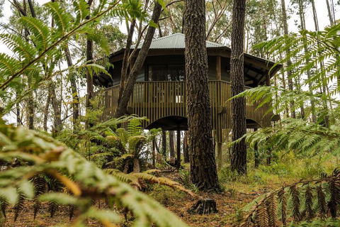 Federation Gardens & Possums Hideaway - Maitland Accommodation 3