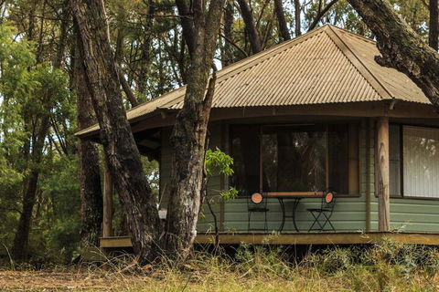 Federation Gardens & Possums Hideaway - Maitland Accommodation 1
