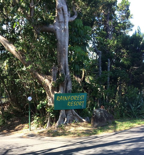 Byron Bay Rainforest Resort - Maitland Accommodation 0