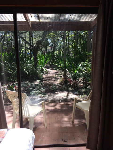 Byron Bay Rainforest Resort - Maitland Accommodation 5